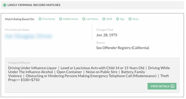 Criminal Record Sample